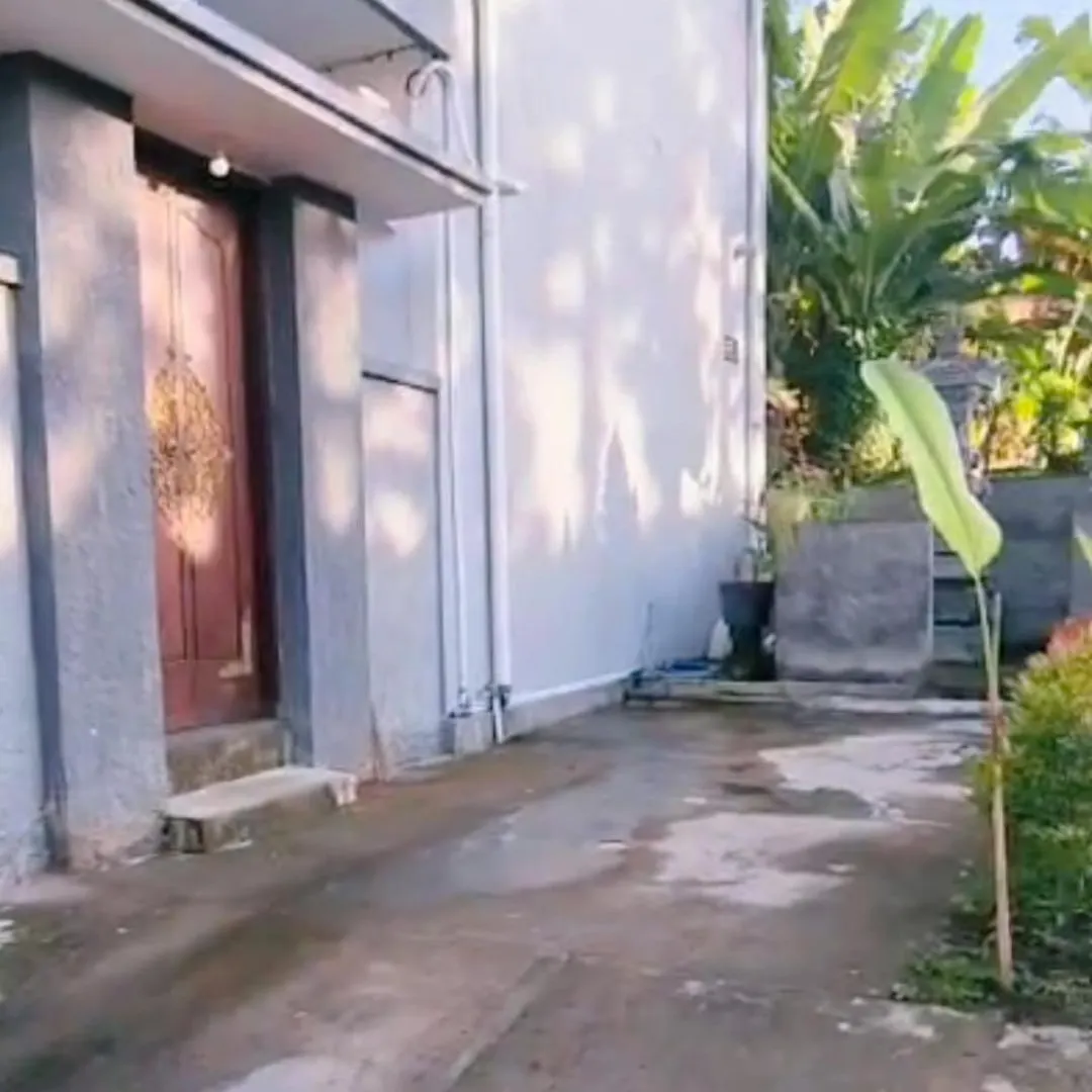 Villa Euro House At Ubud Countryside
