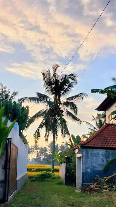 Euro House At Ubud Countryside 0*,
